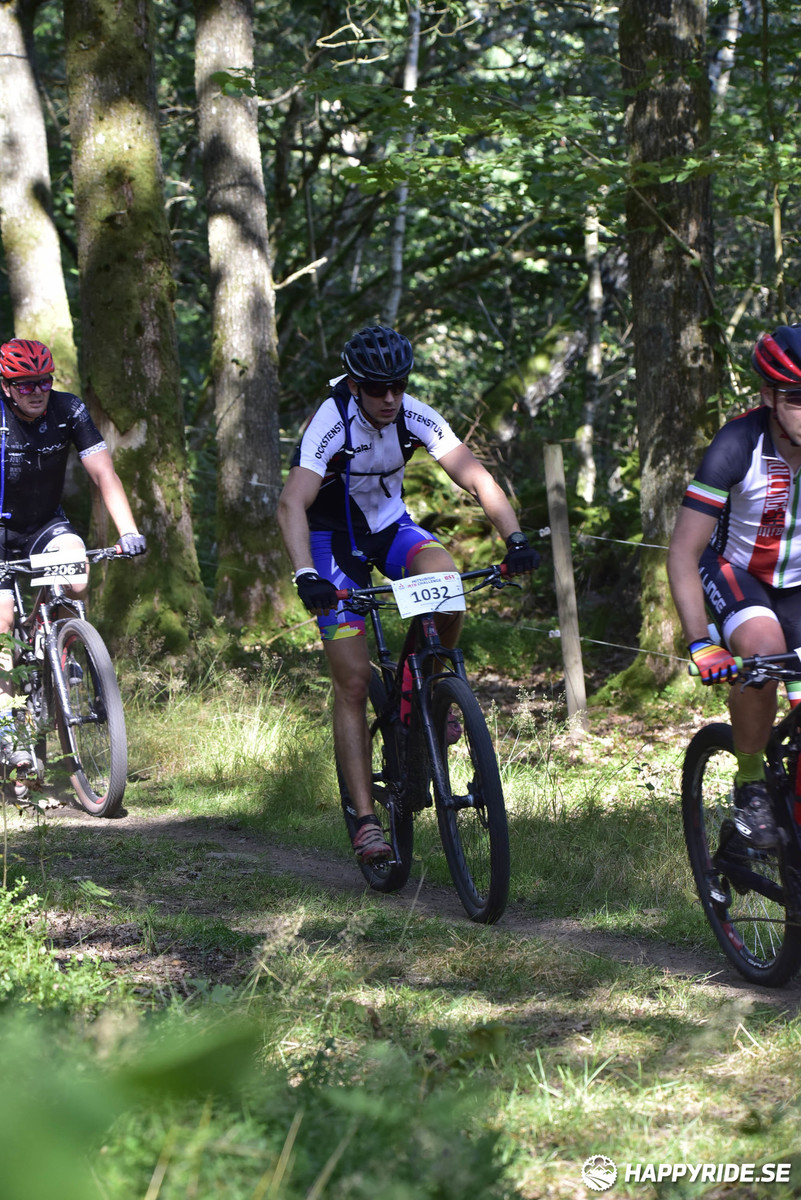 Bild från Bockstensturen 2019